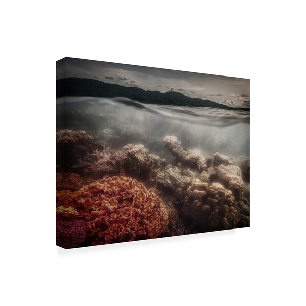 Pavol Stranak 'Underwater Evening Coral Reef' Canvas Art,14x19